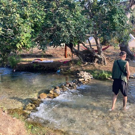 Piqeras Albanian Glamping Bunec المظهر الخارجي الصورة
