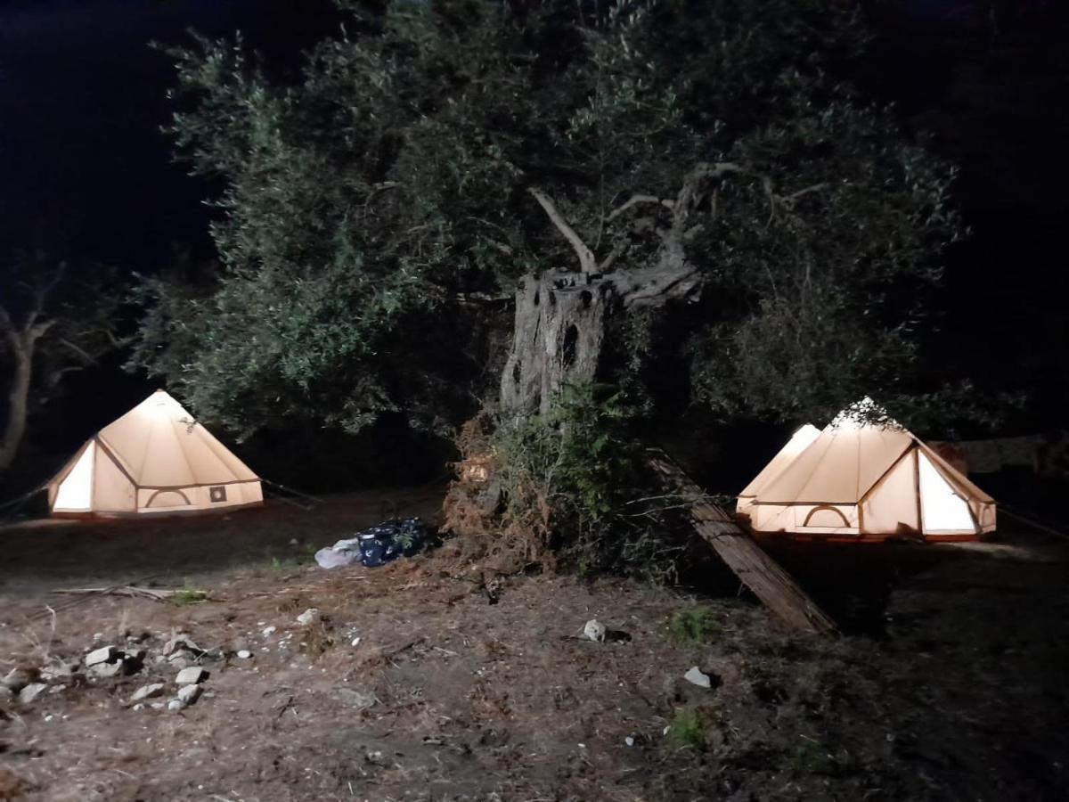 Piqeras Albanian Glamping Bunec المظهر الخارجي الصورة